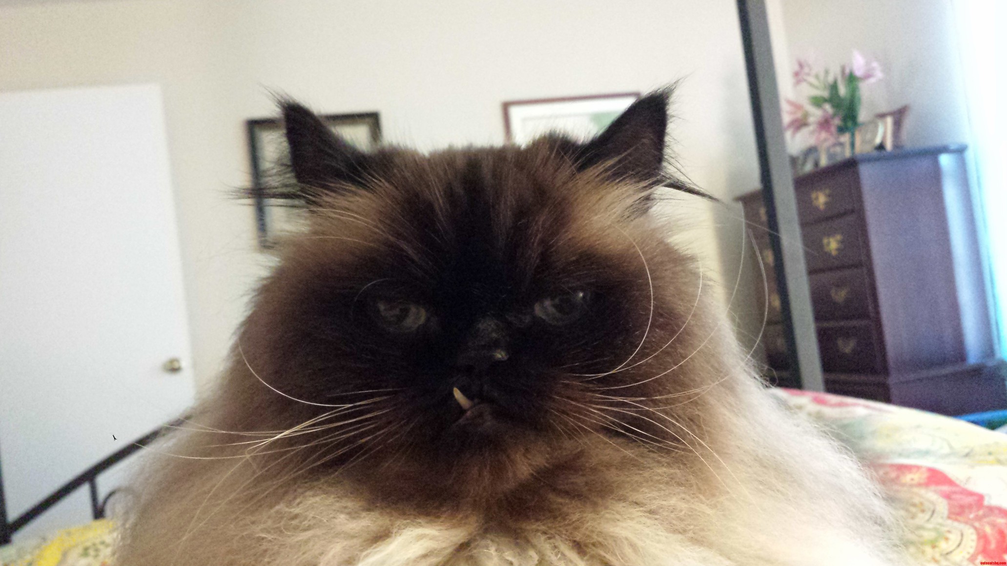 I Get Judged Every Morning.