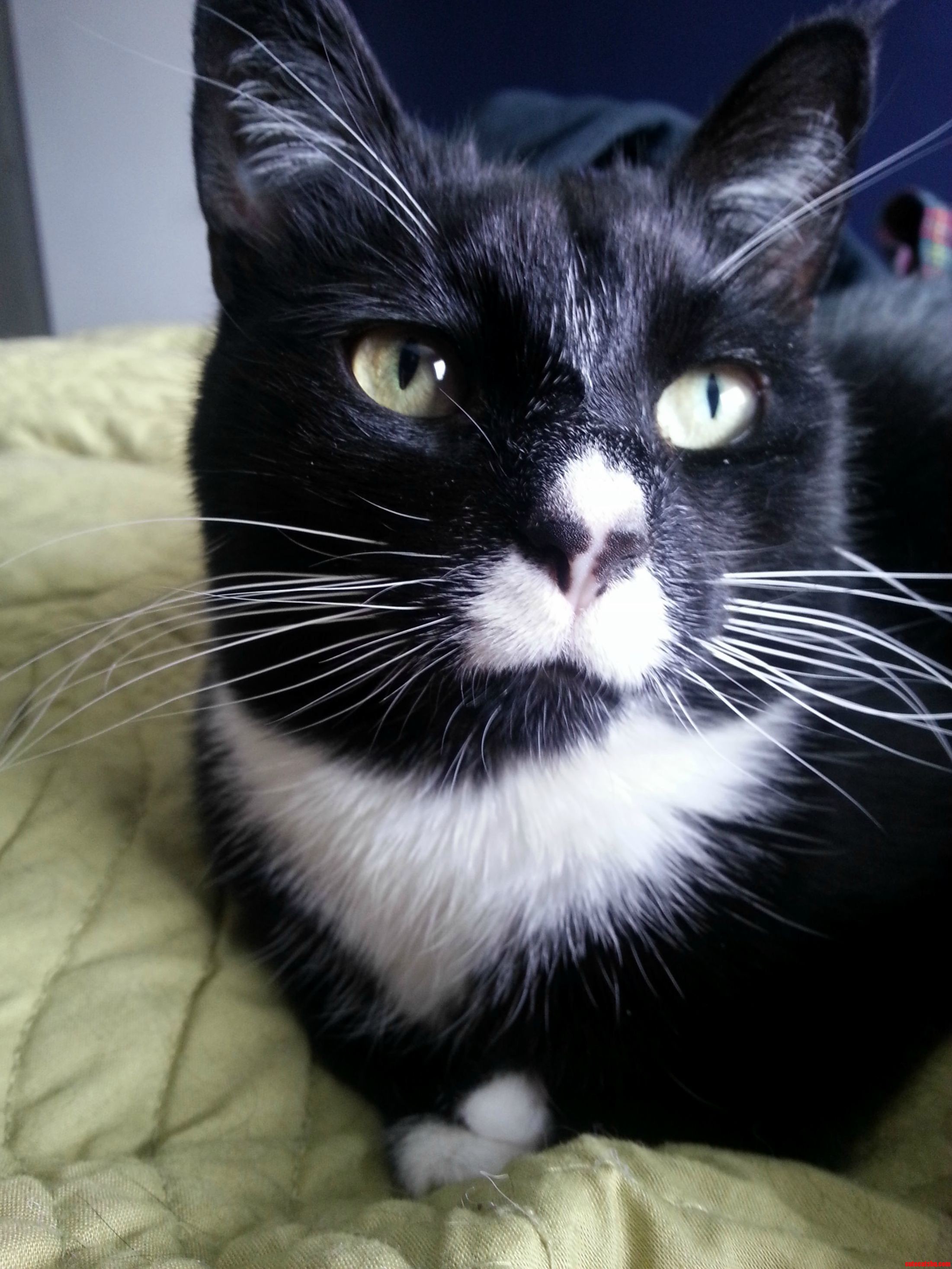 I Get to See This Face First Thing Every Morning. How Lucky Am I