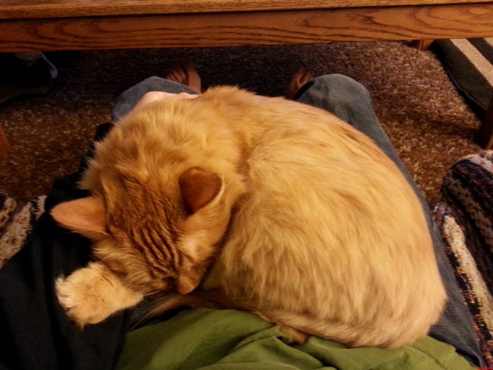 I Have to Stand Up... but Now I Feel Like I Cant and Im Trapped.