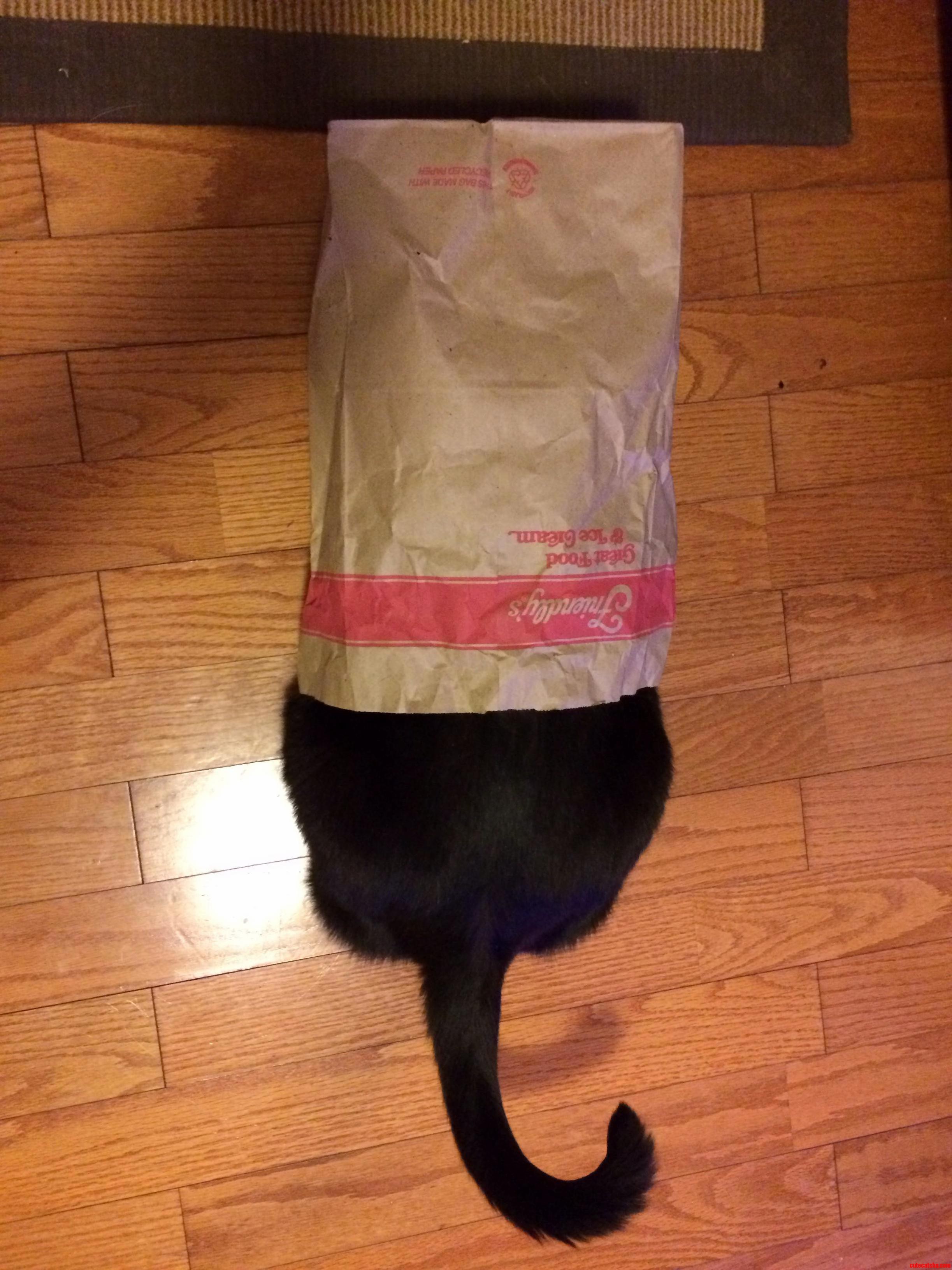 I Is a Sundae