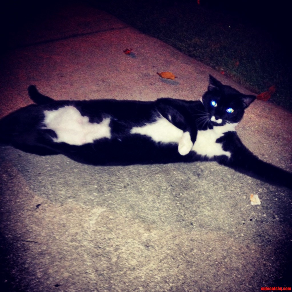 I Is a Super Model.