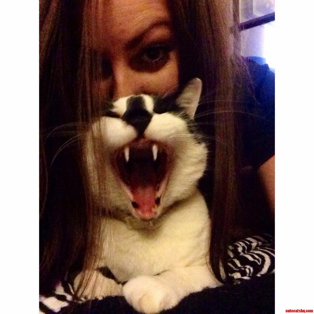 I Just Wanted to Take a Decent Picture.