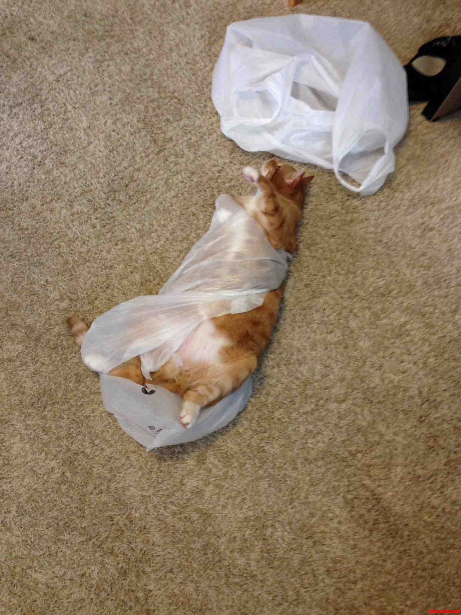 I Like Bags....