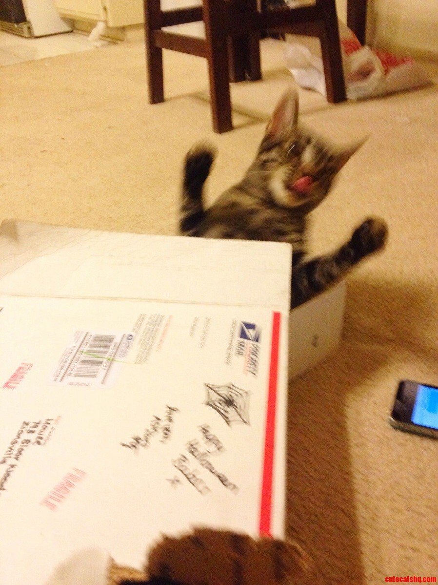 I Love Boxes This Much