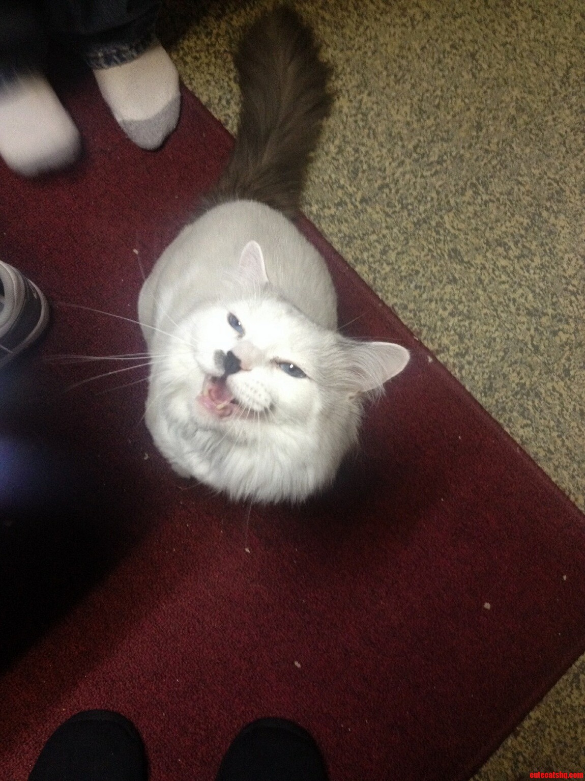 I Love His Smile
