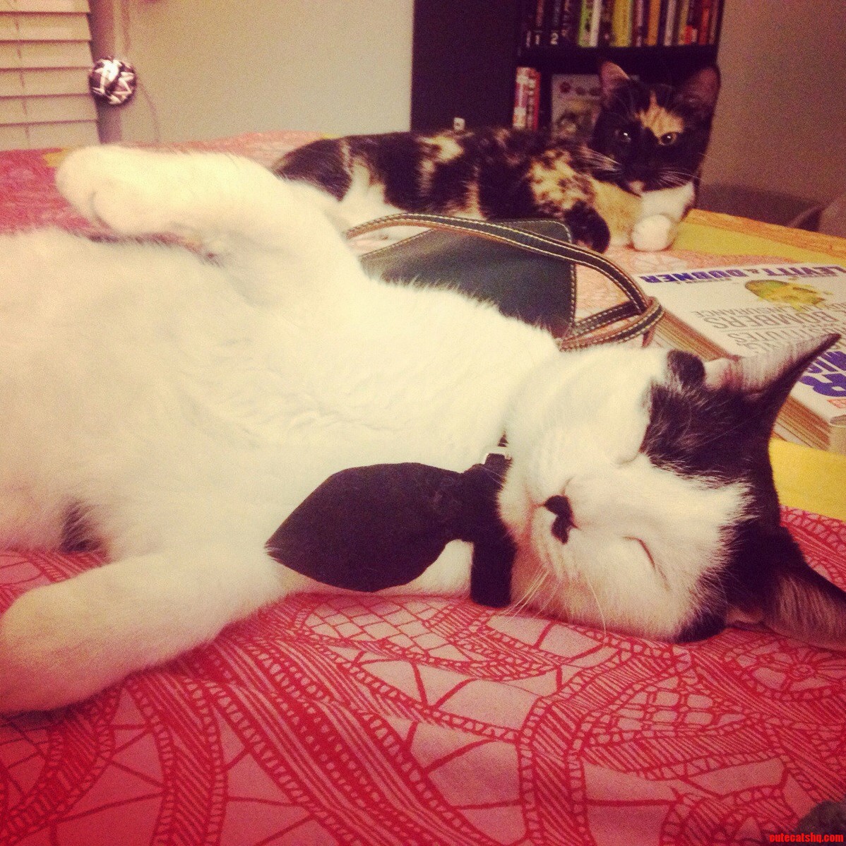 I Love How Hodor Always Sleeps in Weird Positions.