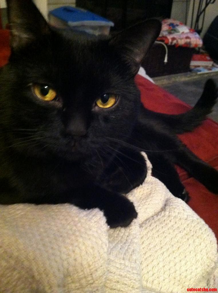 I Love This Handsome Little Man