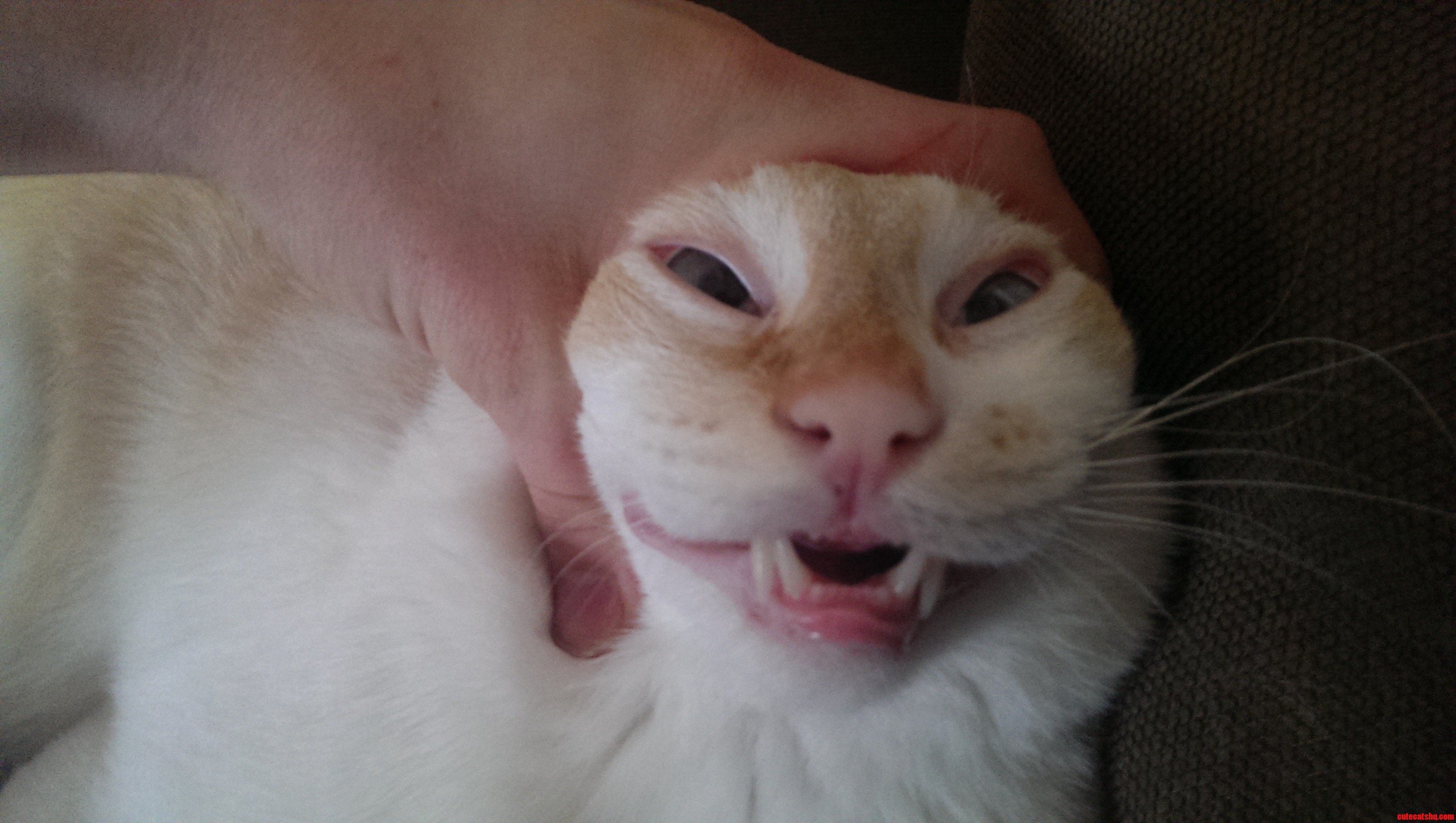 I Love You Butters.