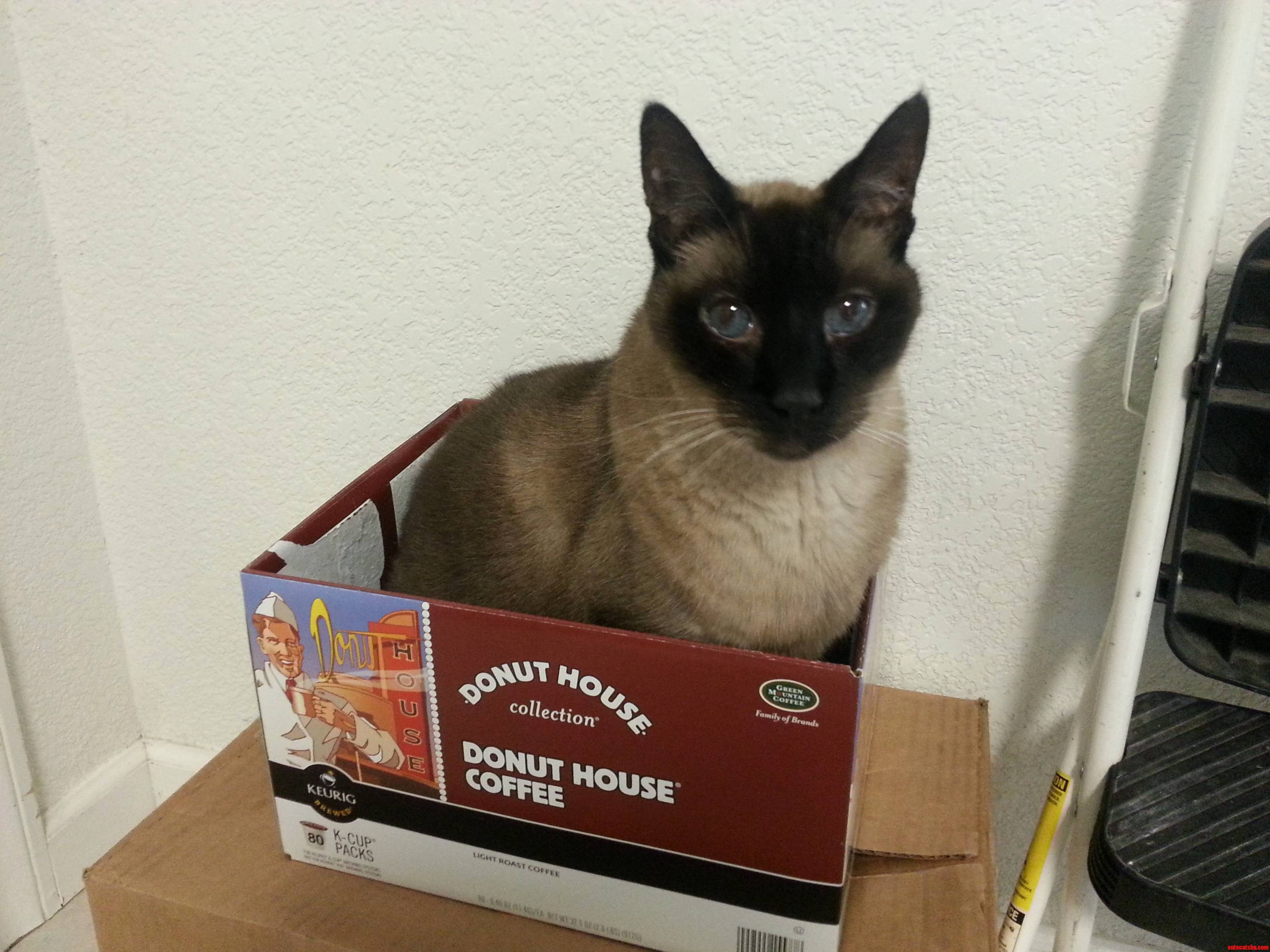 I May Be 17 but If I Fits I Still Sits.
