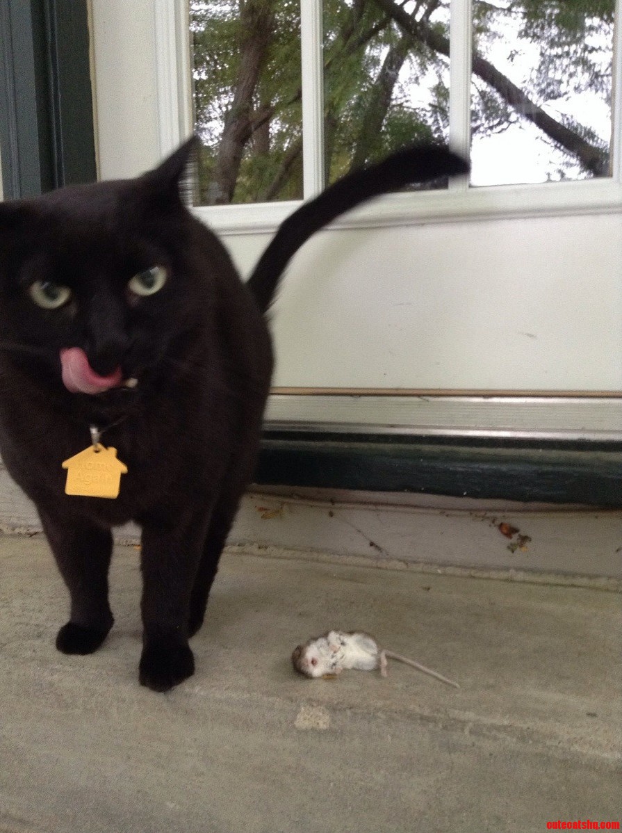 I Might Be Living with a Ferocious Hunter.