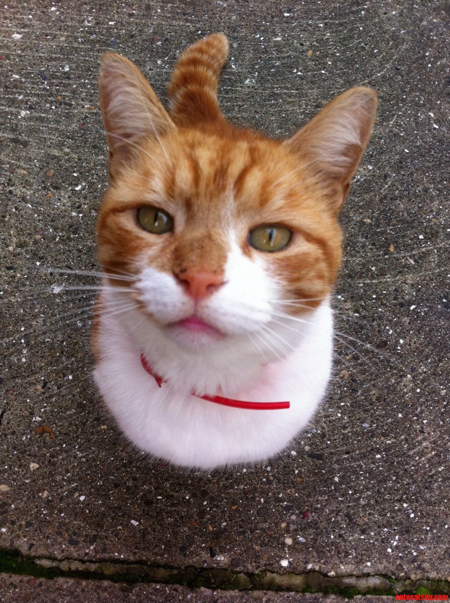 I Miss My Little Guy So Bad When Away at Uni.
