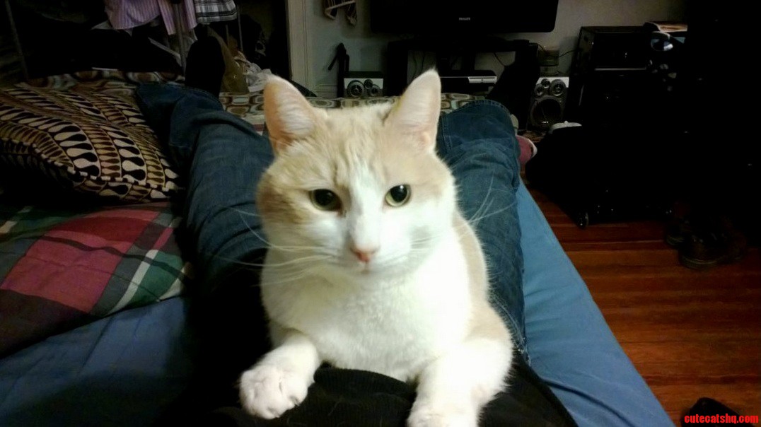 I Miss My Little Pal a Bunch