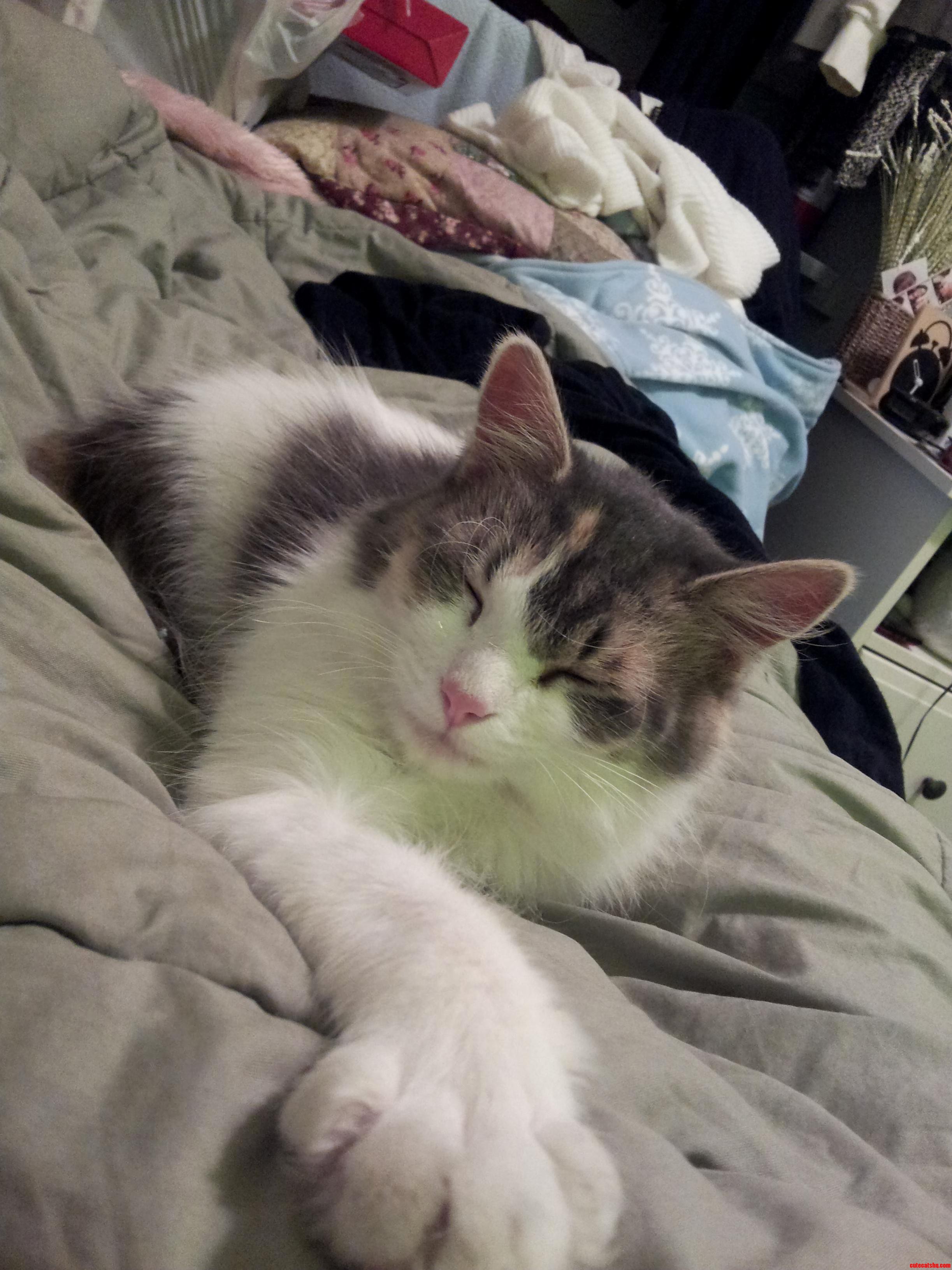 I Need to Get Out of Bed...