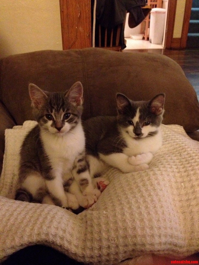 I Swear They Get Cuter Every Single Second...