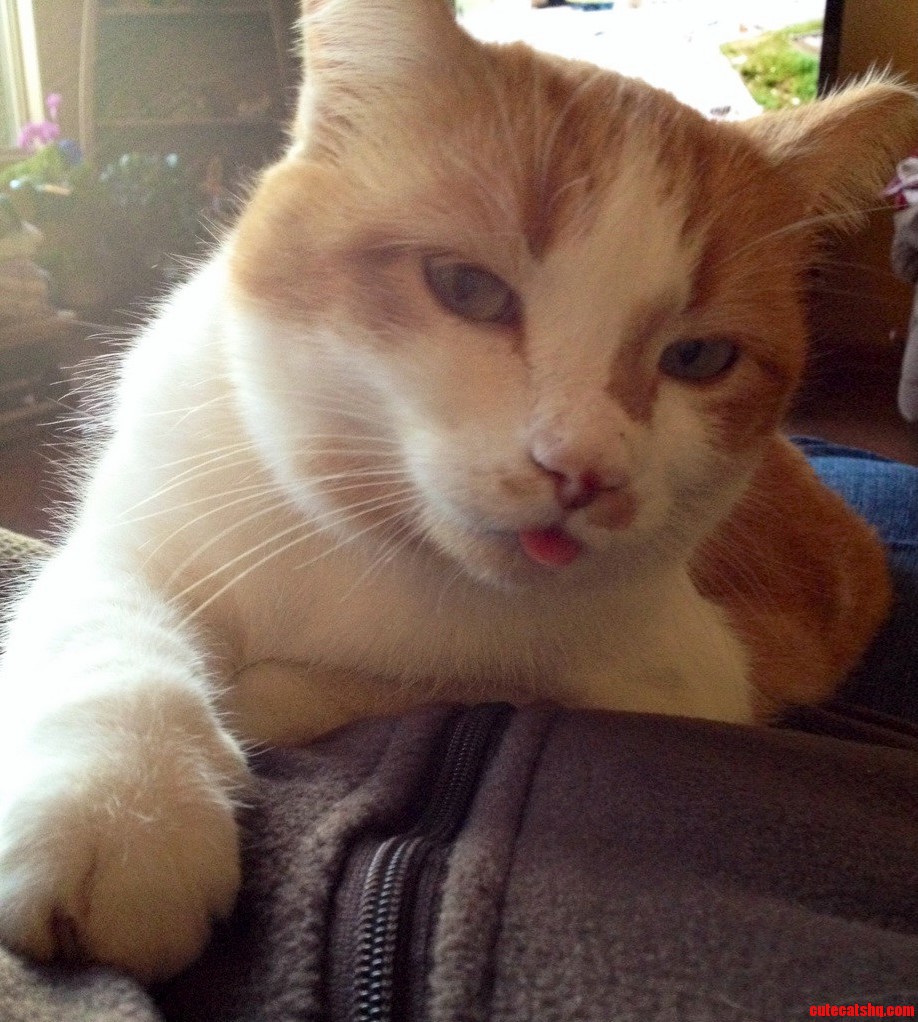 I Tell Her Its Not Nice to Stick Her Tongue Out. Must Be Watching Too Much Miley Cyrus.