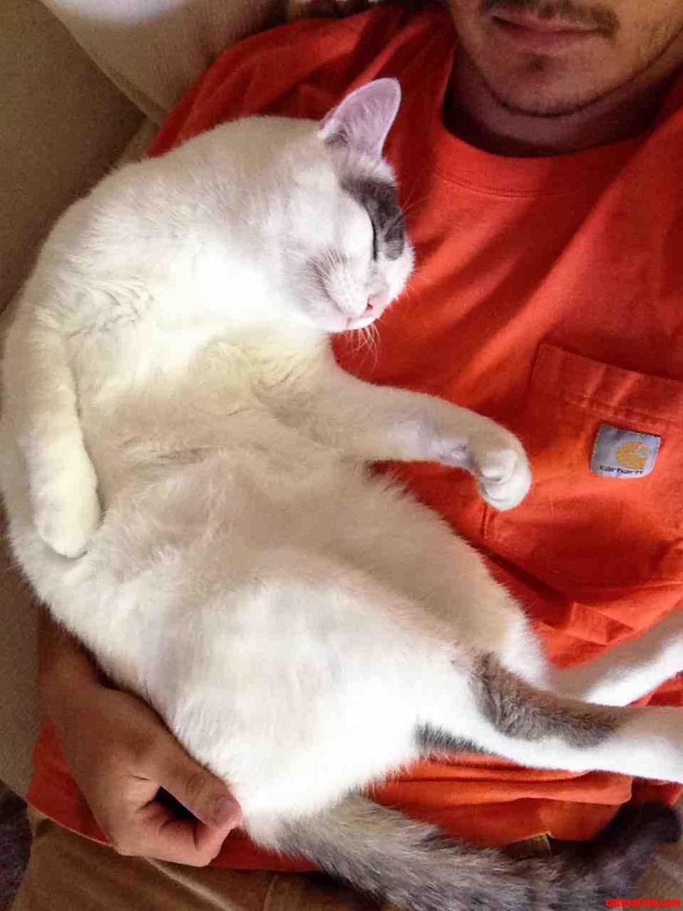 I Think Hes Pretty Content Im Home from Work
