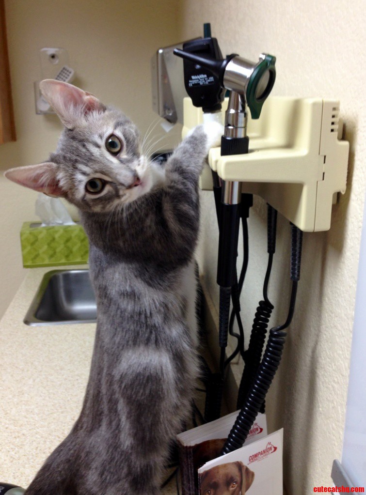 I Think It Is Time to Check Your Ears