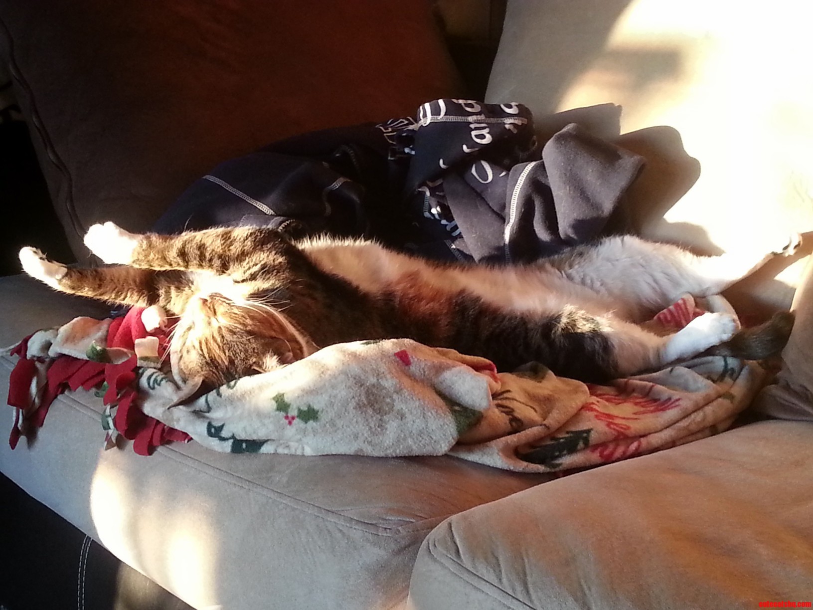 I Think She Was Doing the Thriller Dance in Her Sleep