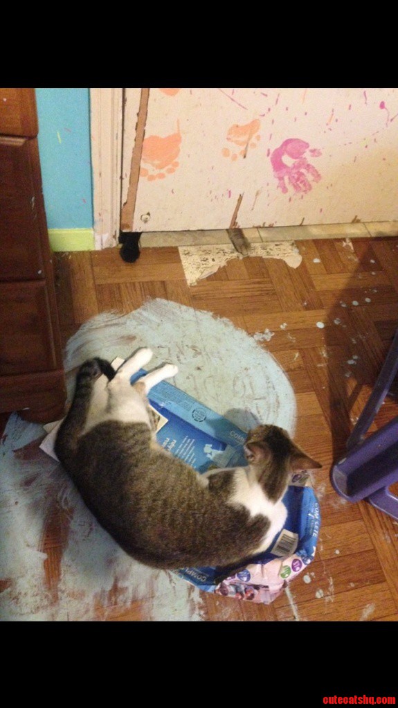 I Think Shes in Heat. but I Cant Quite Be Sure.