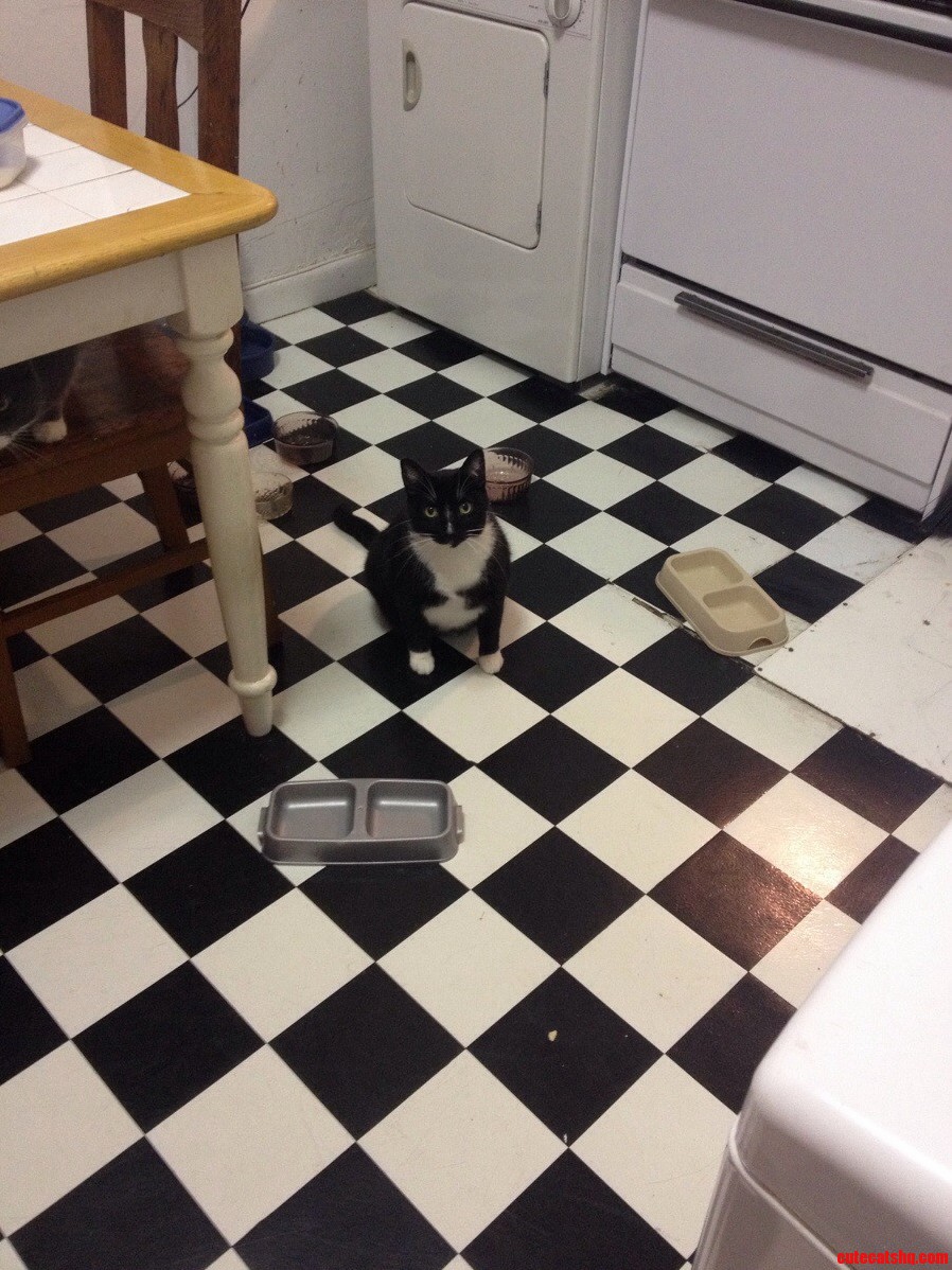I Think Someone Is Hungry