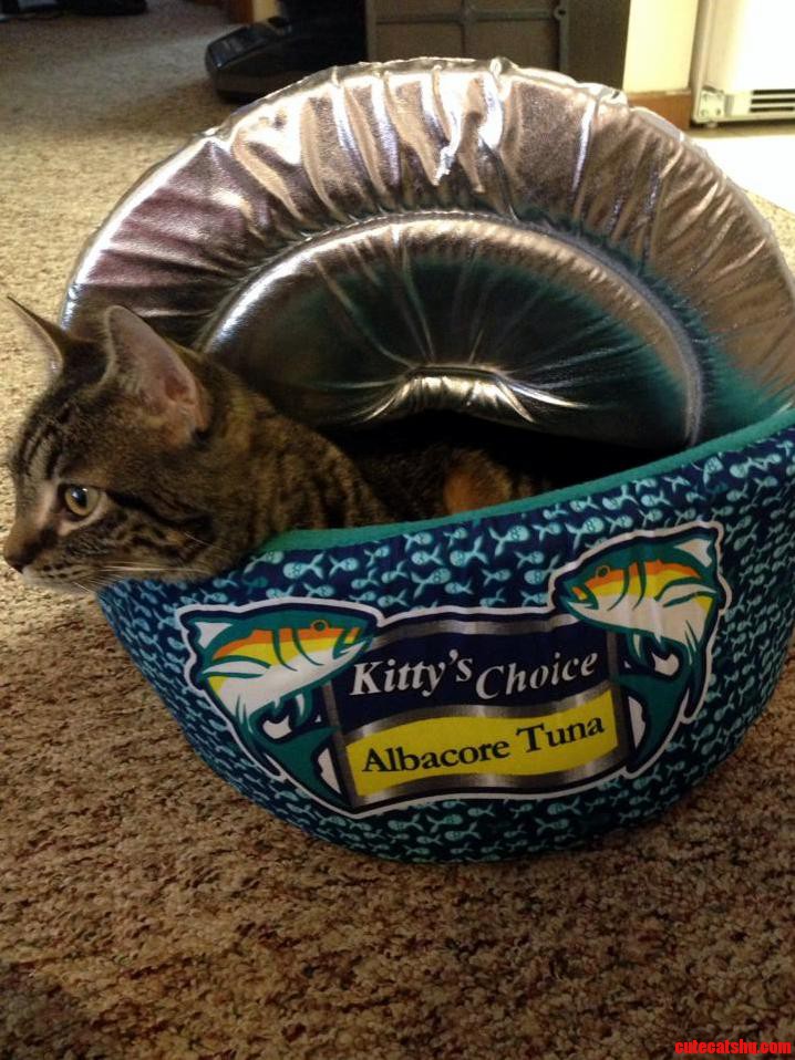 I Think There Was a Mix Up at the Tuna Cannery.