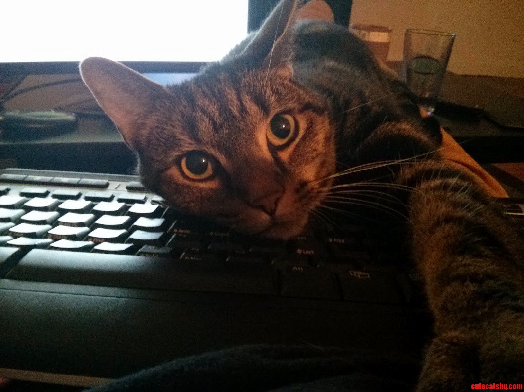 I Think You Ve Had Enough Internet for One Day Dad.