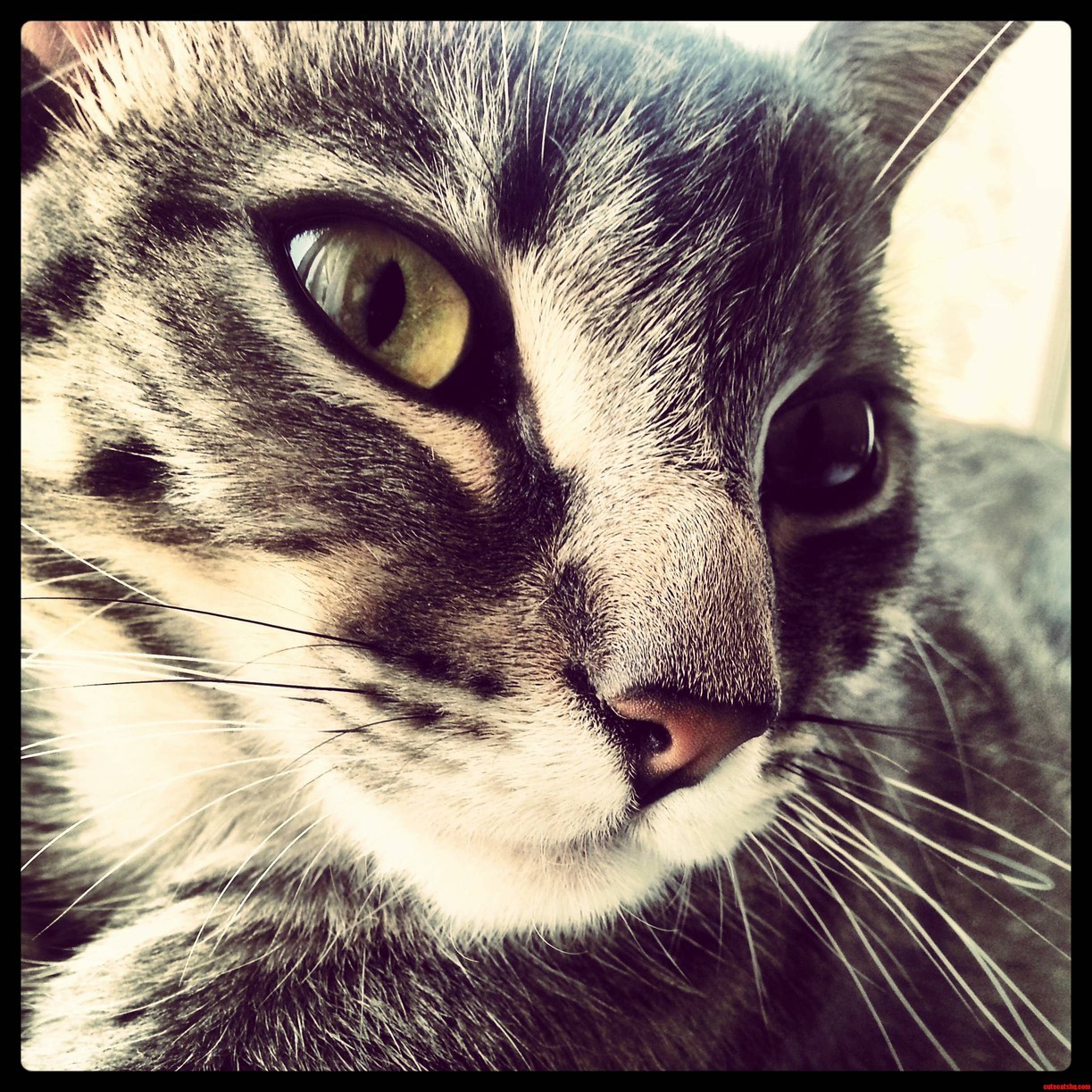 I Ve Been in the Hospital for a Couple of Weeks and Miss My Baby Girl Terribly