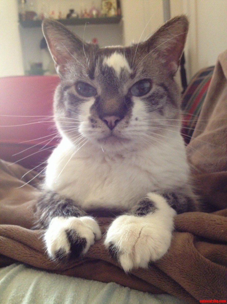 I Ve Had This Beauty in My Life for 13 Years Meet Angel