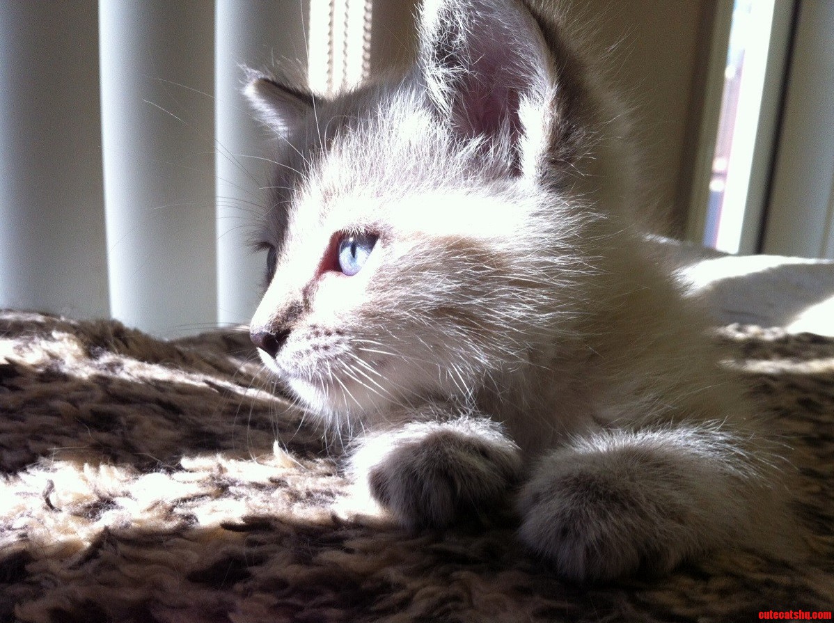 I Wonder What Hes Thinking About