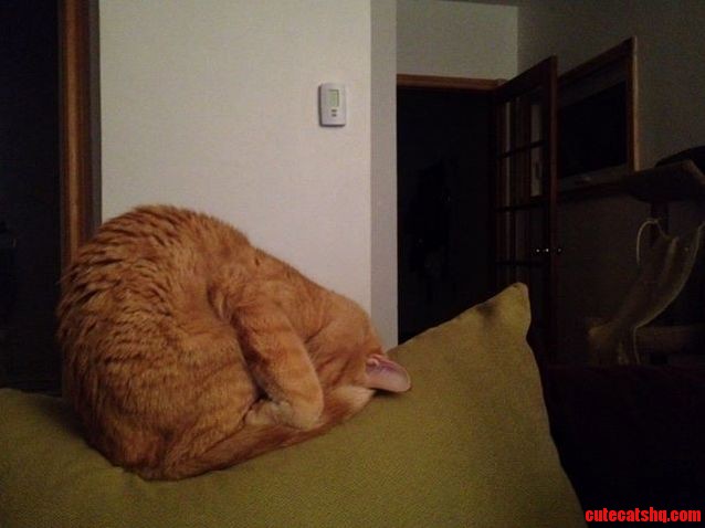 I... Guess This Could Be Comfortable