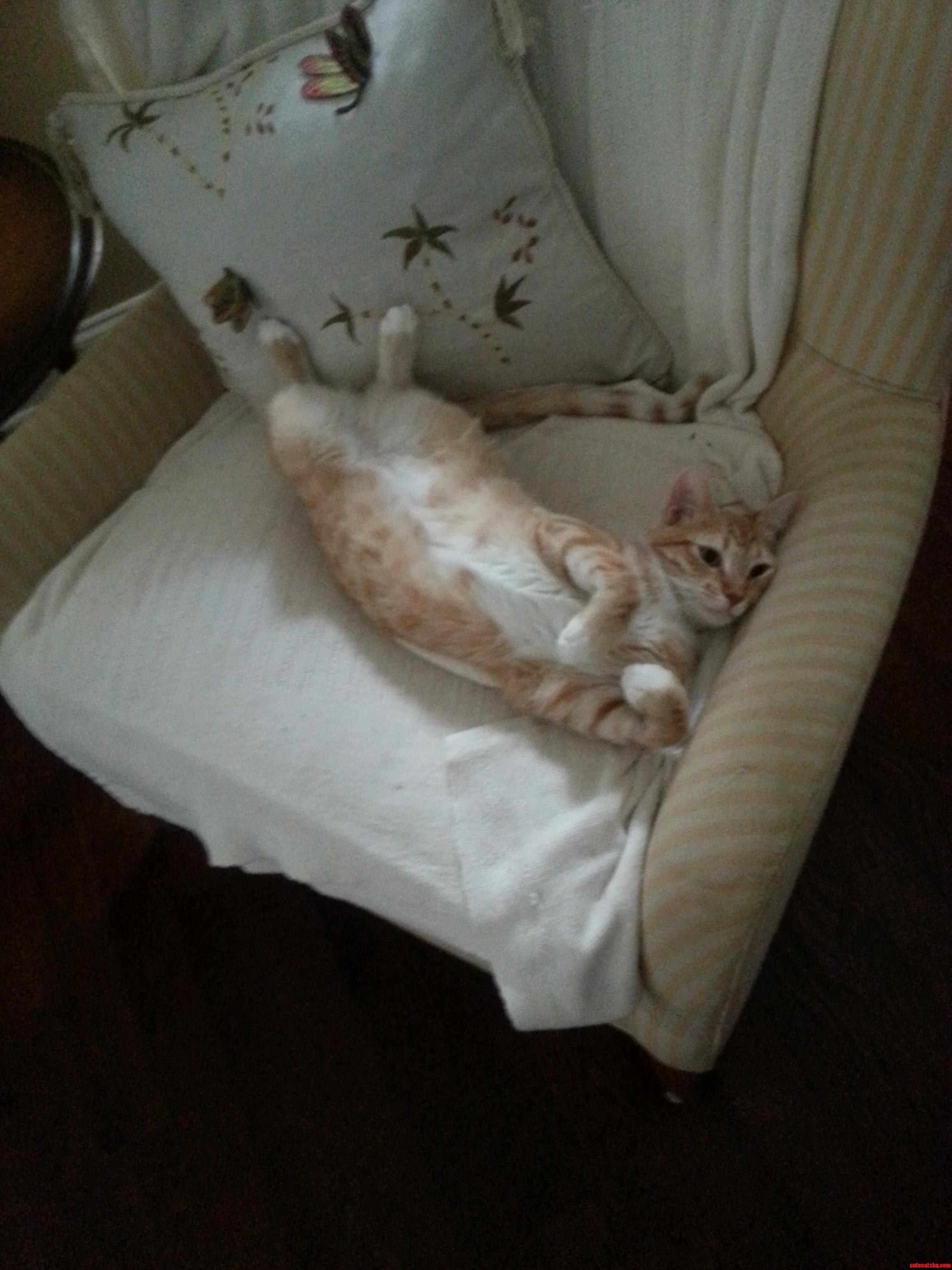 ID Say Hes Pretty Happy to Be Home