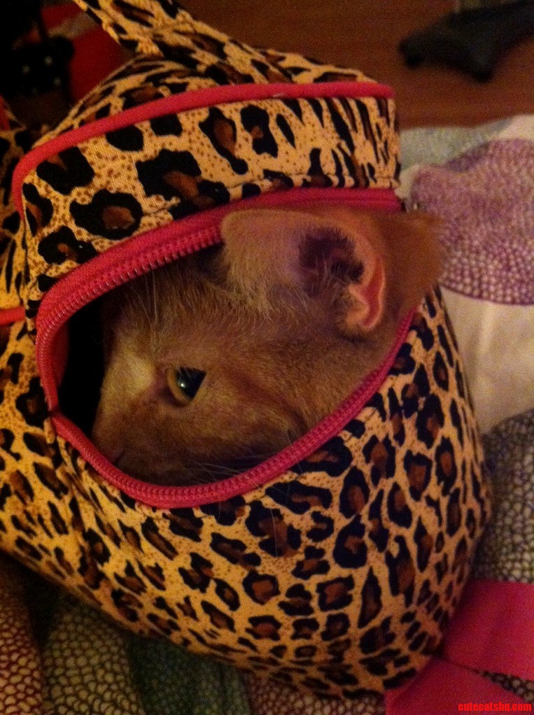 If I Fits I Sits.. and I Ll Kill You When I Get Out
