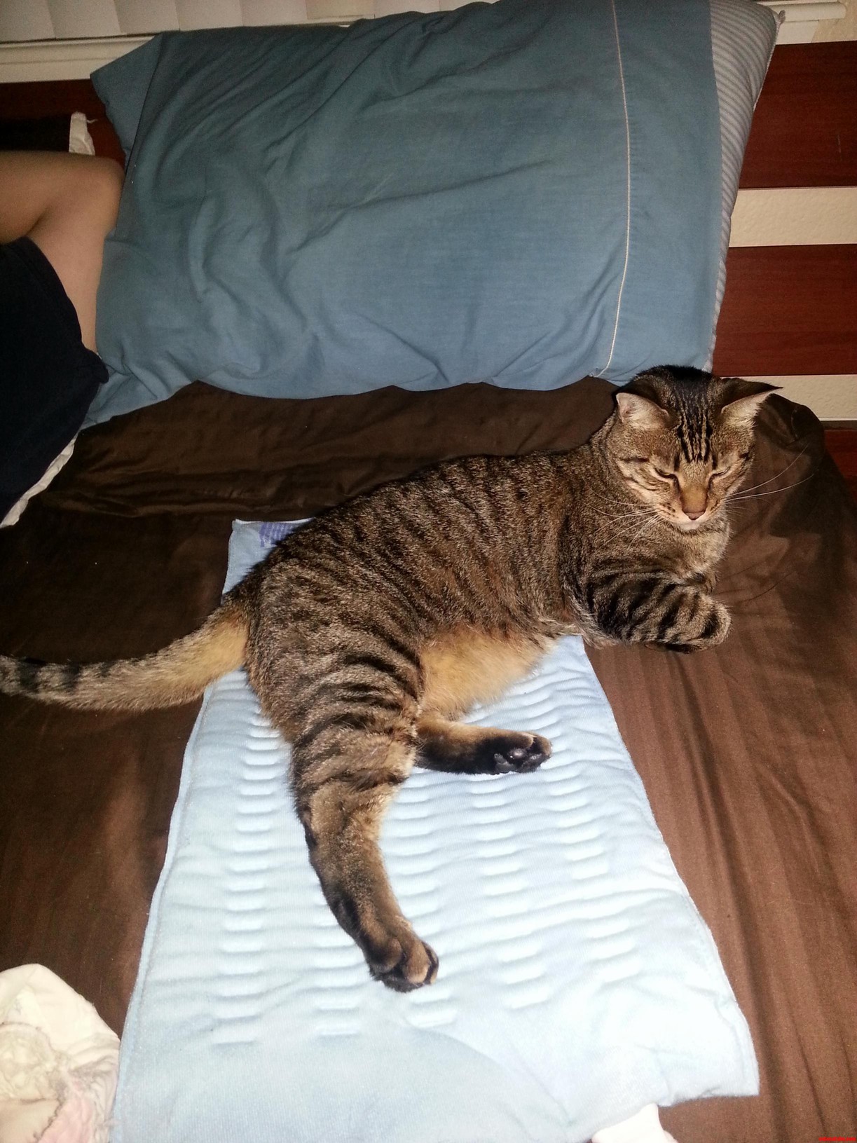 If Its Warm... I Steals.
