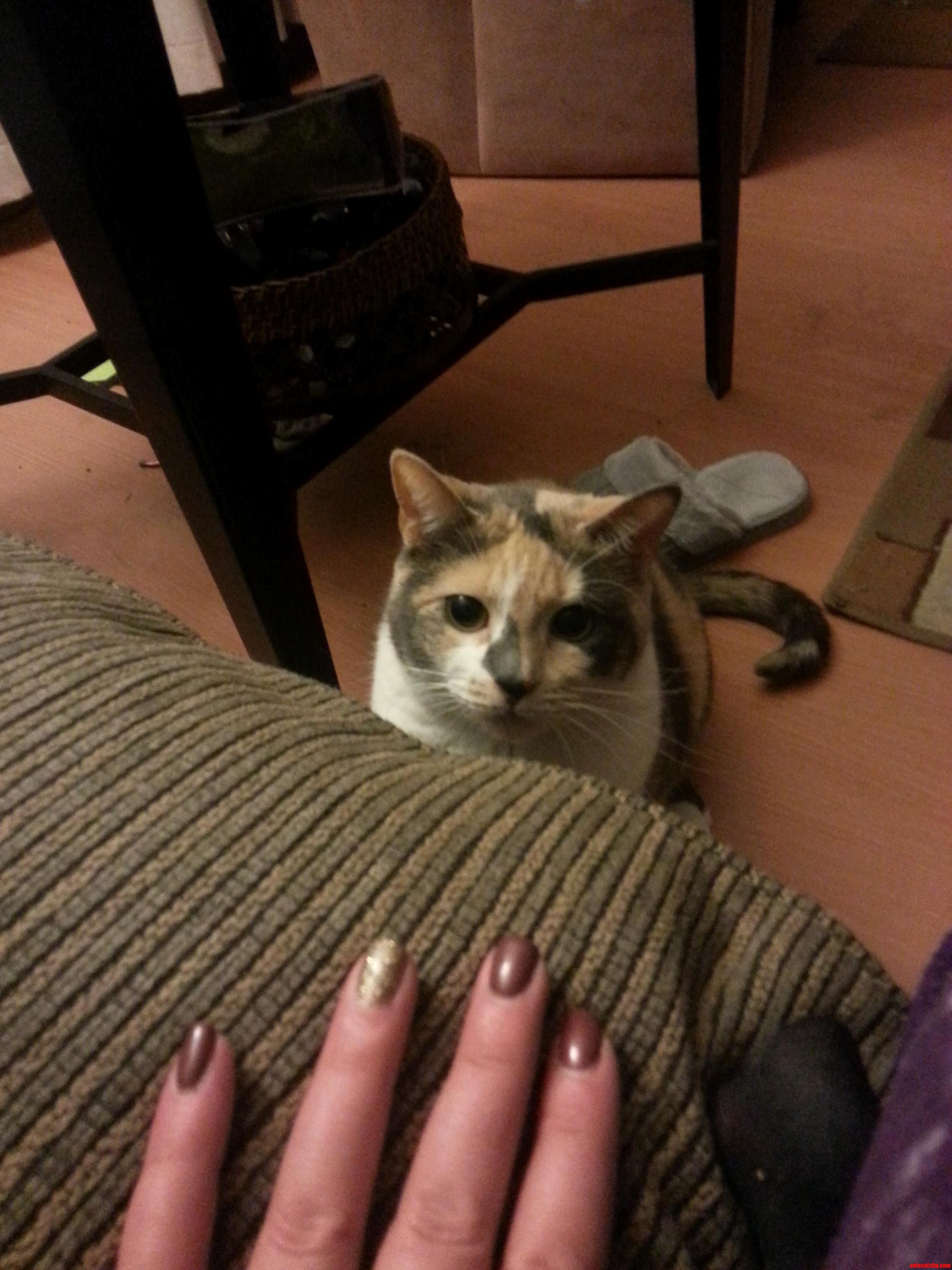 Im About to Lose a Finger.
