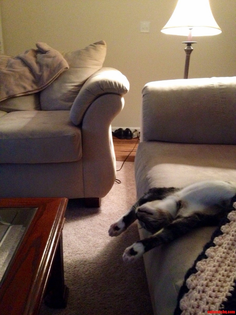 Im Not Sure How This Is a Comfortable Way to Sleep.