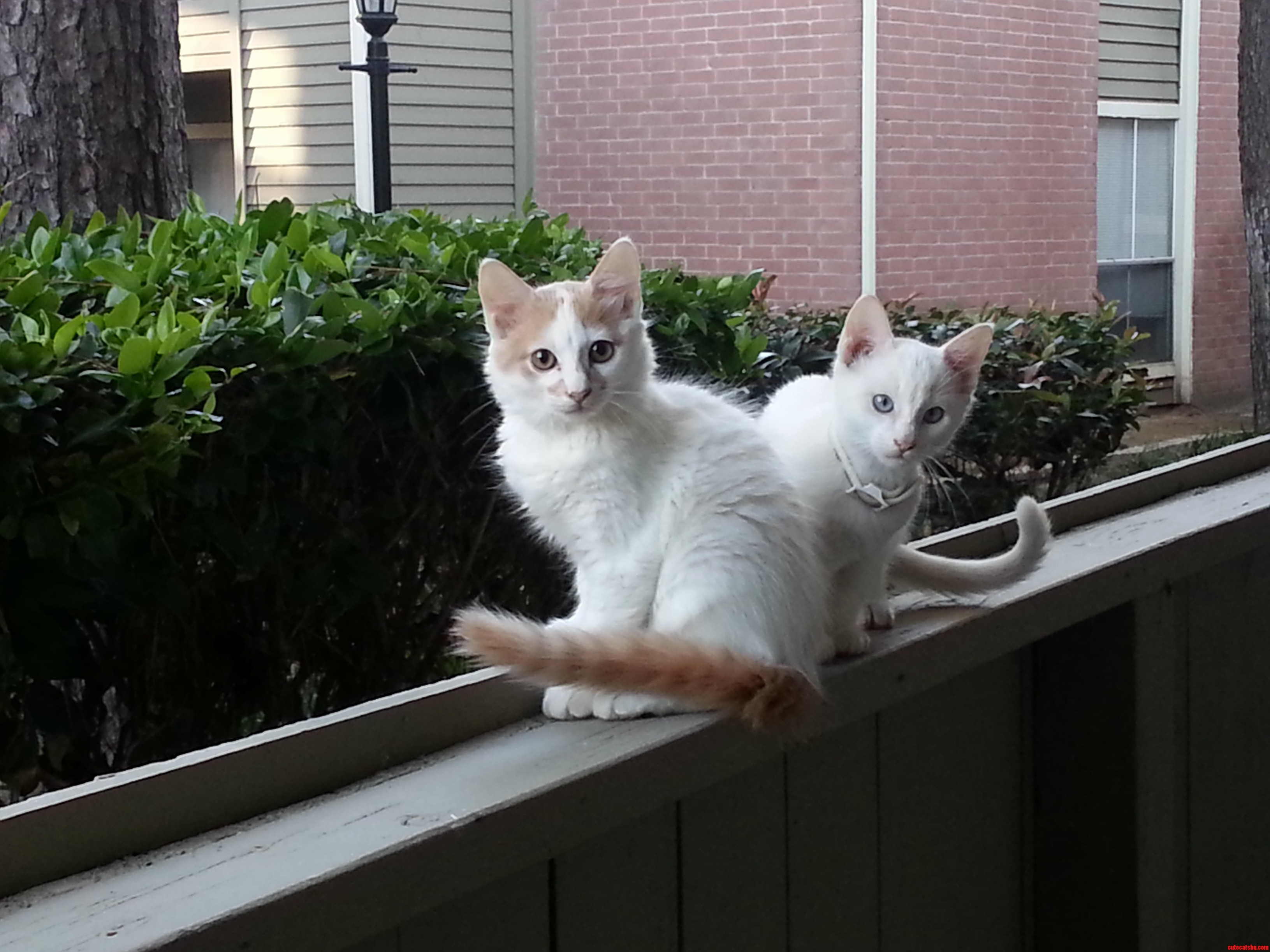 Is It Time for Breakfast Yet