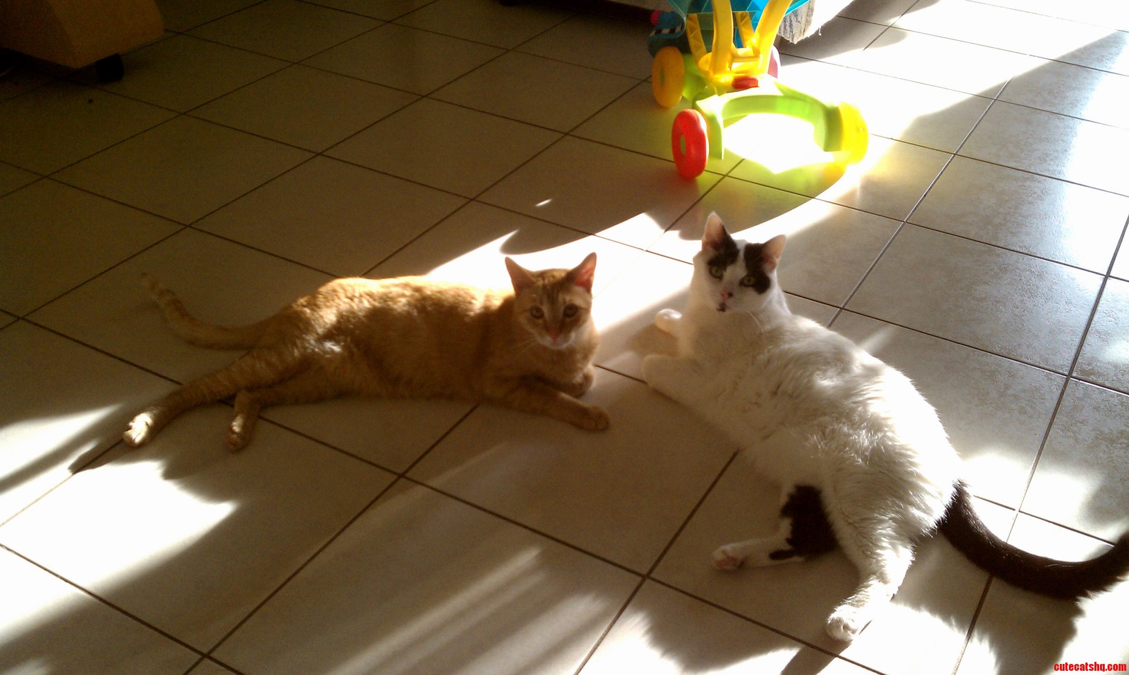 Ish and His New Buddy Obi.