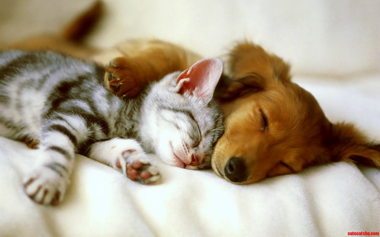 Isnt It Cute