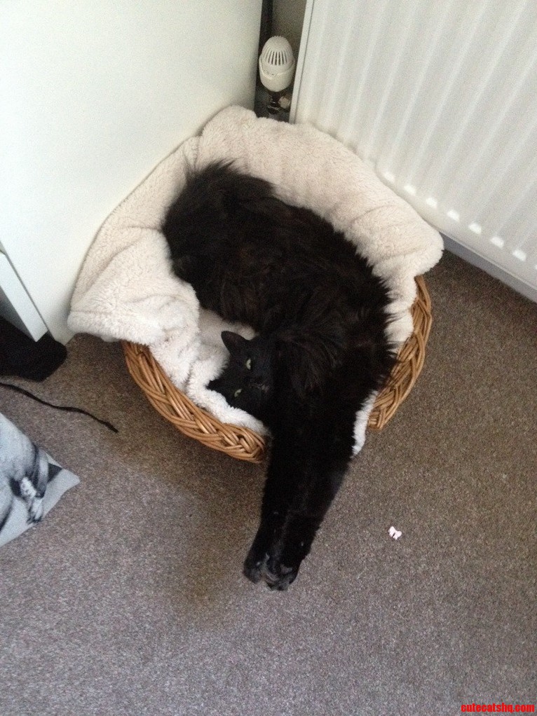 It Must Be Comfortable