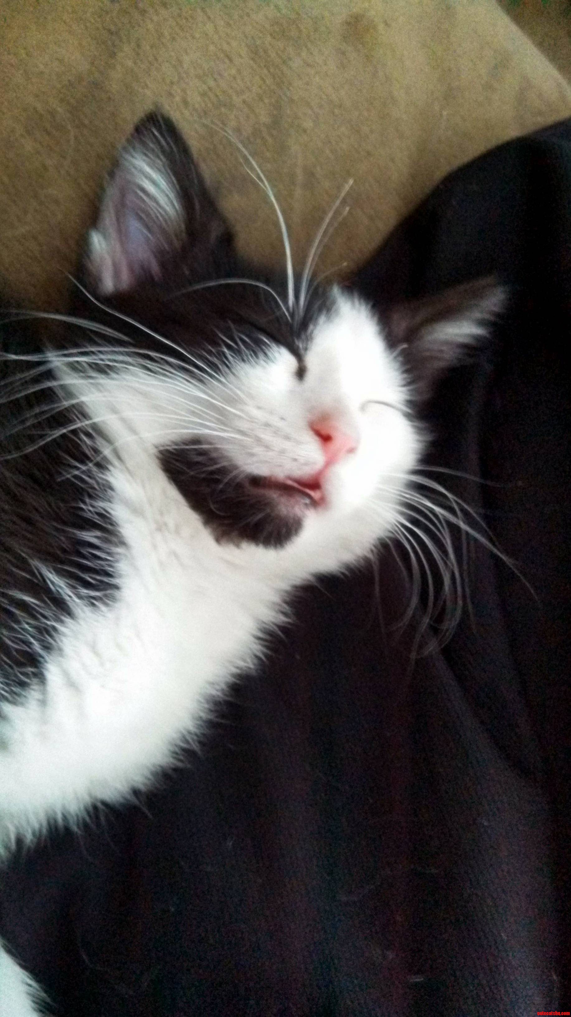 Its Good to Know Hes Having Happy Dreams