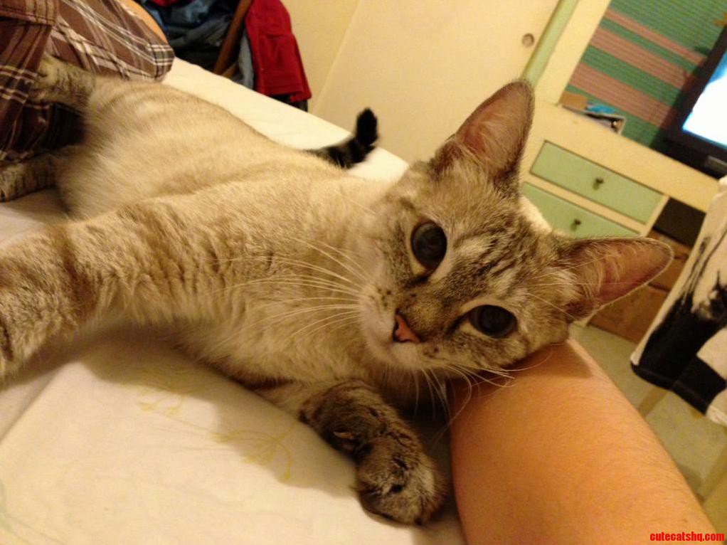 Its Her Birthday. 6 Years with Us.