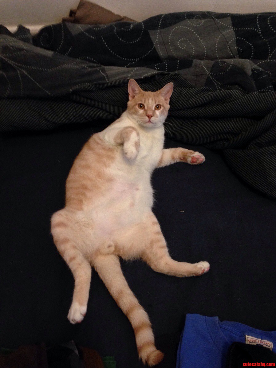 Its Not What It Looks Like I Swear