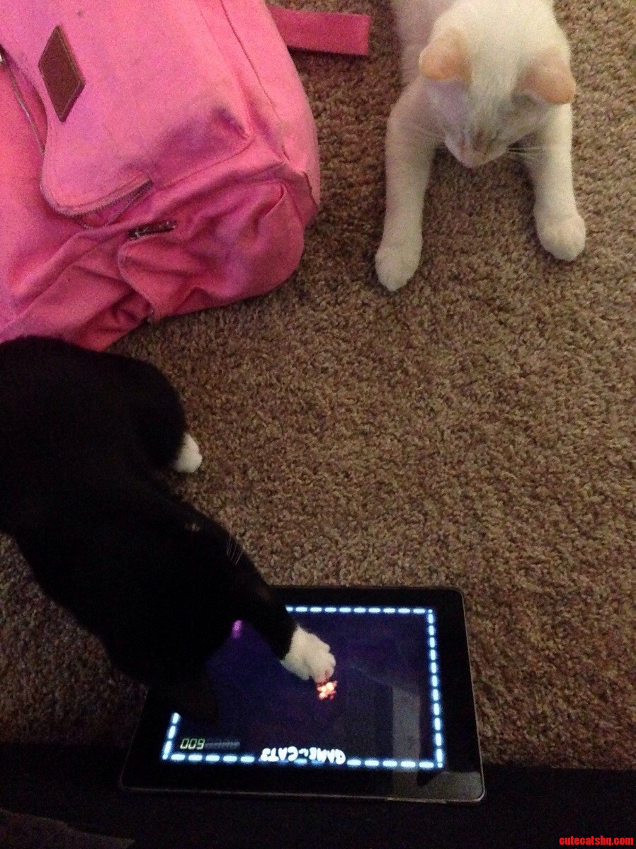 Its Play Time