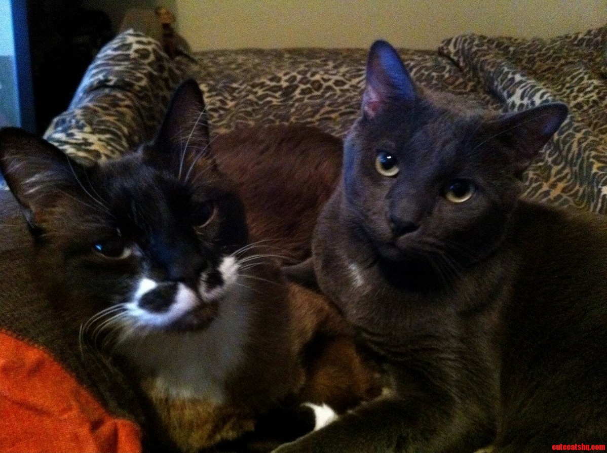 Jack and Floyd Best Friends.