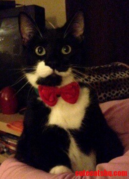 Jacks Ready for Christmas