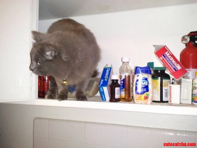 Jasper the Pharmacist.