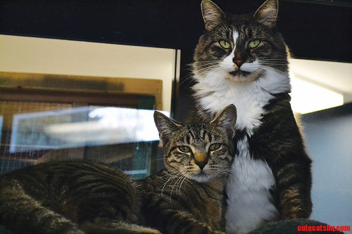 Julia and Jagger - These Two Would Like to Stay Together.