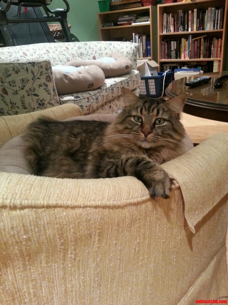 Just Chillin