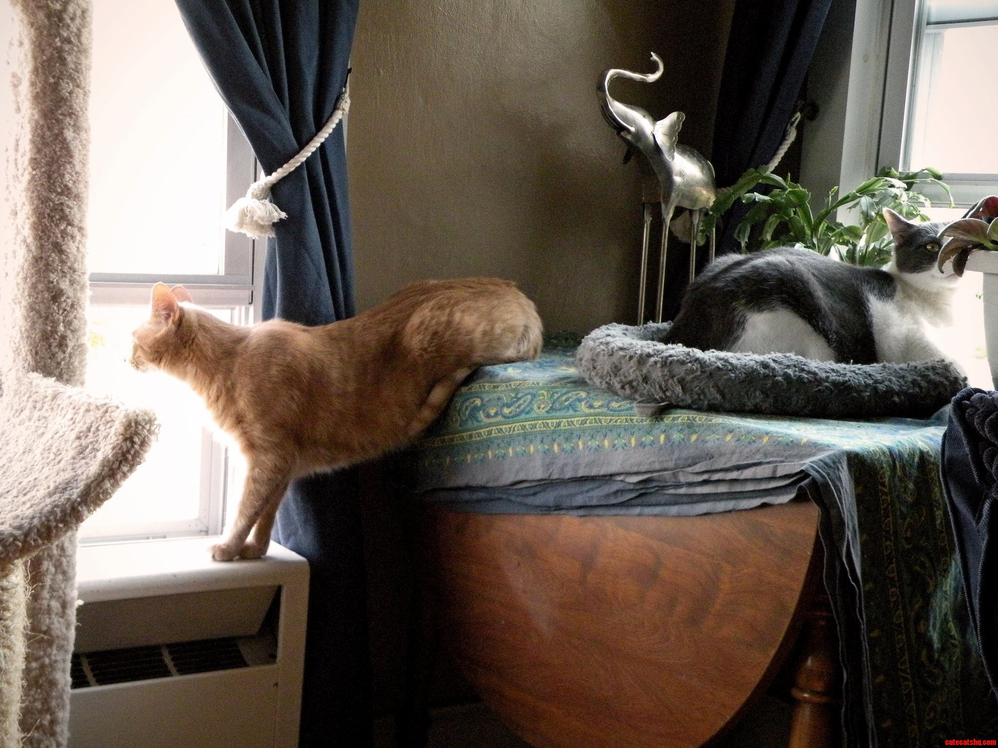 Just Looking Out the Window.