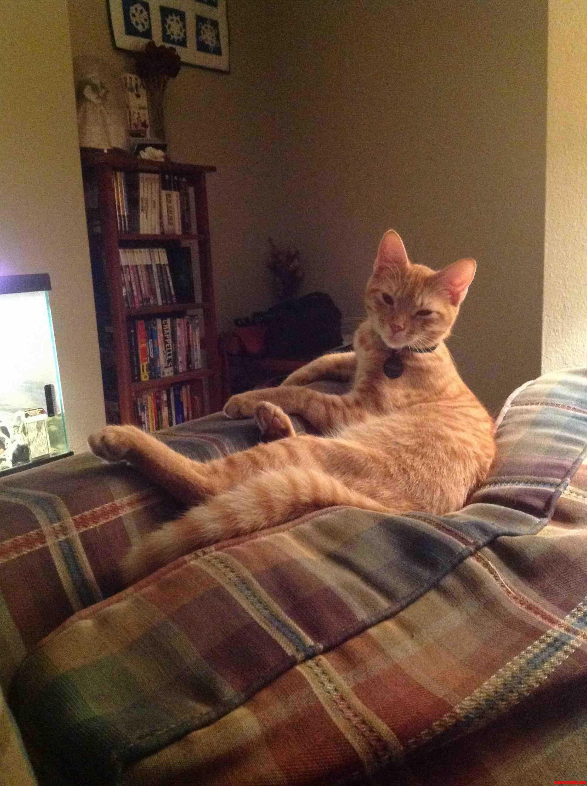 Just Monty